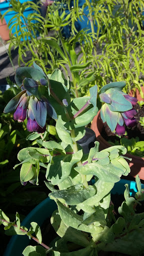 Book Store «Pipe & Thimble Bookstore», reviews and photos, 24830 Narbonne Ave, Lomita, CA 90717, USA