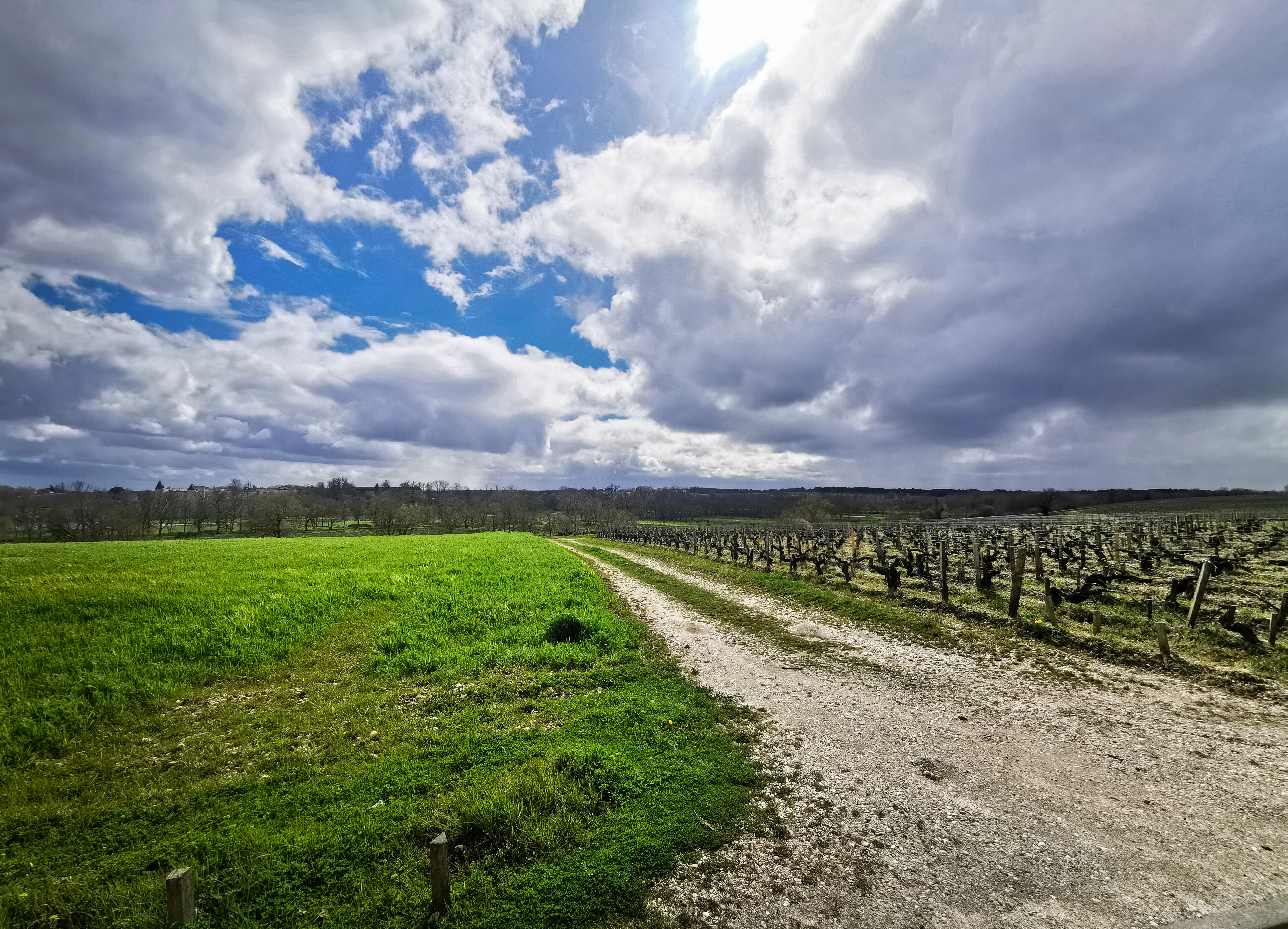 Photo n° 1 de l'avis de Papa.a fait le 18/03/2023 à 16:54