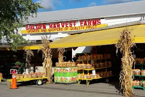 Golden Harvest Farms image