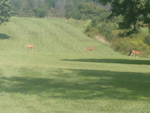 Public Golf Course «Longview Golf Course», reviews and photos, 3243 Frankfort Pike, Georgetown, KY 40324, USA