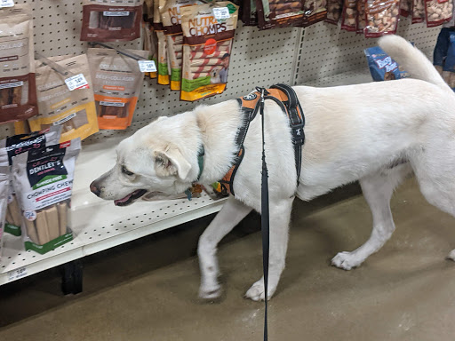 Pet Supply Store «PetSmart», reviews and photos, 6102 Ave J, Galveston, TX 77551, USA