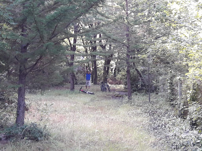 La Casse à Bordas à Saint-Pierre-d'Oléron