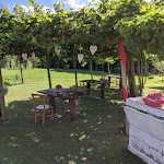 Photo n°6 de l'avis de Giuseppe.a fait le 12/07/2020 à 18:46 sur le  Antica Trattoria Vigna à Castelnovo del Friuli