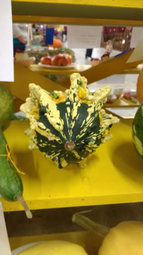 Association or Organization «Mendocino County Fair and Apple Show», reviews and photos