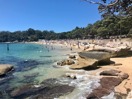 Shark Beach