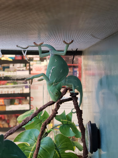 Pet Supply Store «Petco Animal Supplies», reviews and photos, 4012 W 27th Ave, Kennewick, WA 99337, USA