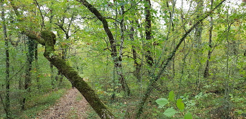 Asport Jean-Manuel à Montaigu-de-Quercy