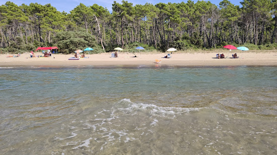 Punta Ala Beach