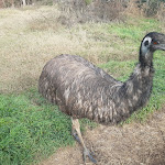 Photo n°3 de l'avis de Nory.o fait le 13/11/2022 à 18:00 sur le  Agriturismo La Quercia Verde à Alseno