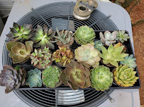 Lowe's Garden Center - Photo 1 - Car repair in Chamblee, GA, Sandy Springs