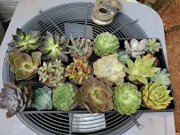 Lowe's Garden Center - Car repair in Chamblee, GA, Sandy Springs - Rated 4.1/5