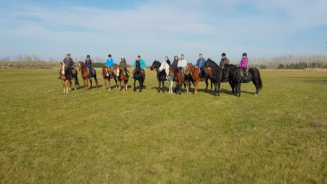 Hozzászólások és értékelések az Platános Kúria Equestrian Mansion-ról