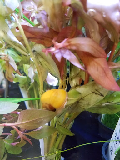 Pet Supply Store «Petco Animal Supplies», reviews and photos, 7215 170th Ave NE #115, Redmond, WA 98052, USA