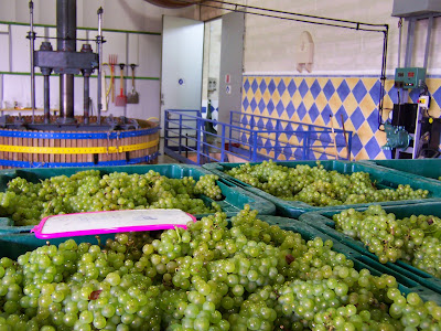 SCEV Champagne Dérouillat à Monthelon