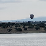 Photo n°2 de l'avis de Joao. fait le 30/04/2023 à 09:11 sur le  Herdade dos Delgados à Mourão