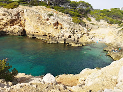 Foto von Zone de baignade du sentier du Littoral mit sehr sauber Sauberkeitsgrad