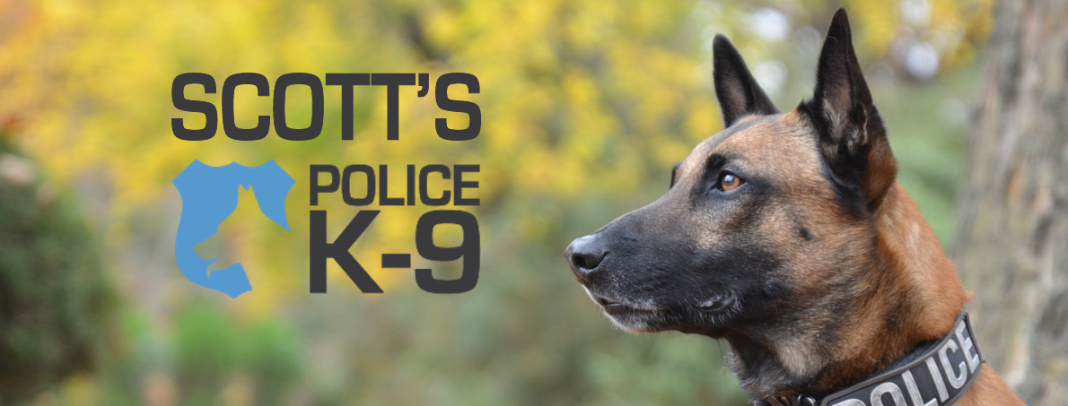 Scott's K9 - Protection Dogs