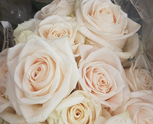 Shopping Mall «Santa Teresa Village Shopping Center», reviews and photos, 7028 Santa Teresa Blvd, San Jose, CA 95139, USA