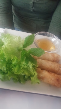 Rouleau de printemps du Restaurant vietnamien Étoile d'Asie à Lyon - n°15
