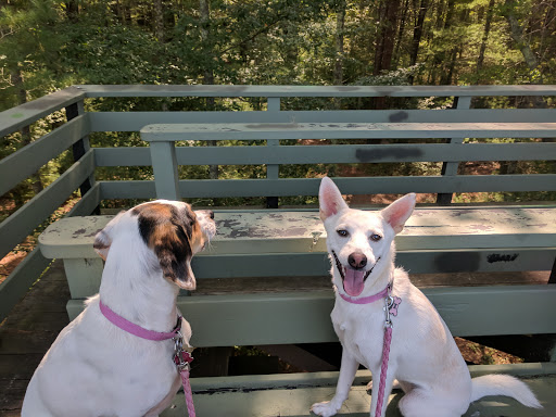 Nature Preserve «Wildlands Trust - Willow Brook Farm Preserve», reviews and photos, 99 Barker St, Pembroke, MA 02359, USA