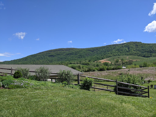 Vineyard «Glen Manor Vineyards», reviews and photos, 2244 Browntown Rd, Front Royal, VA 22630, USA