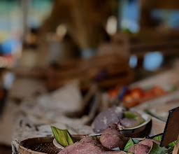 Seed To Feed - Salad Bar photo