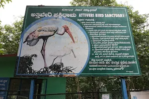 Attiveri Bird Sanctuary image