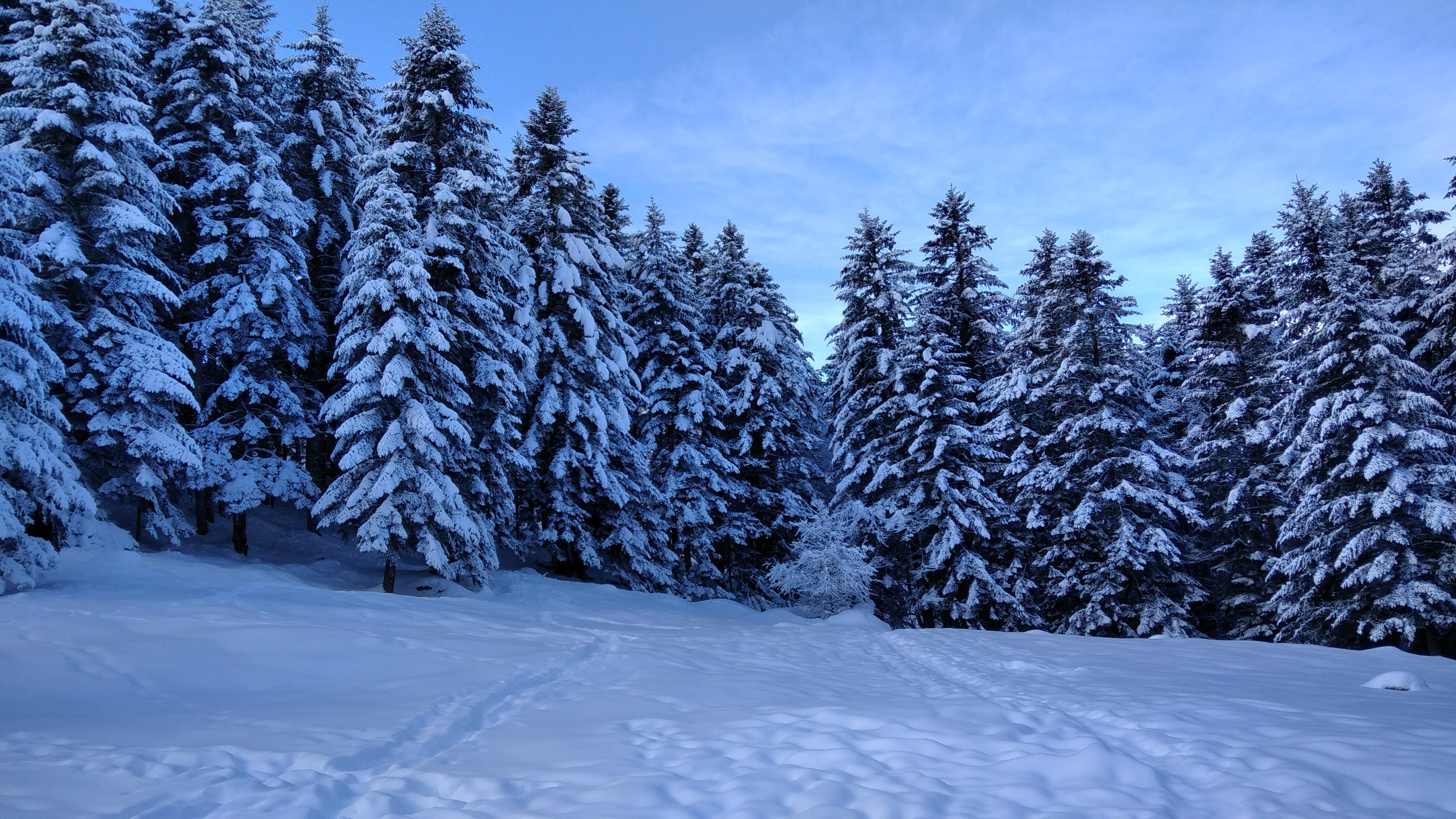 Photo n° 3 de l'avis de Grégory.E fait le 27/01/2021 à 11:47