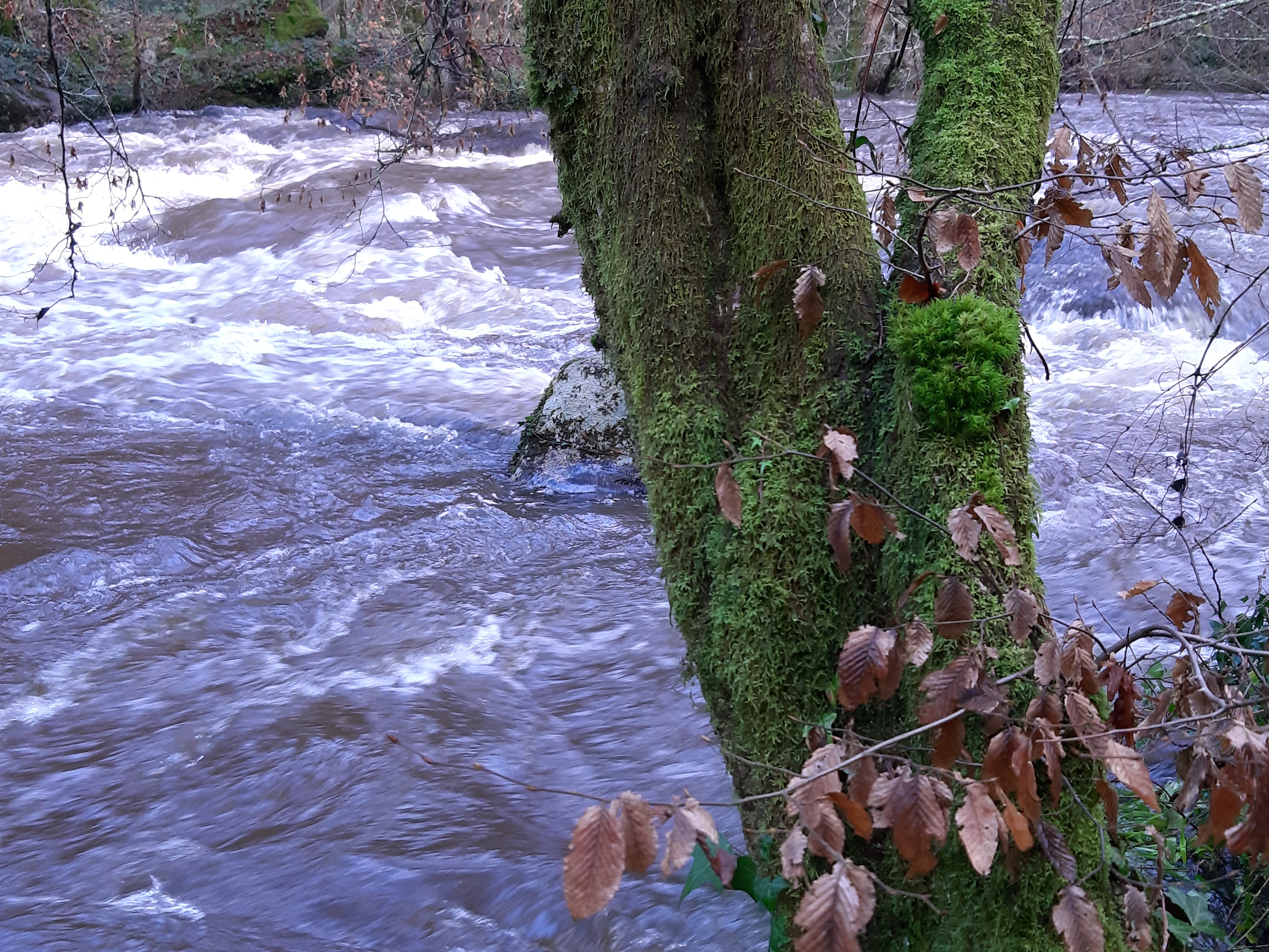 Photo n° 1 de l'avis de LABIDOIRE.a fait le 04/12/2019 à 09:05
