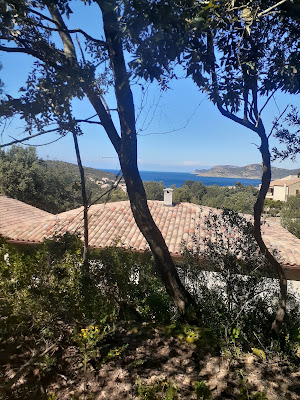 CANDILLUCCIA à Galéria