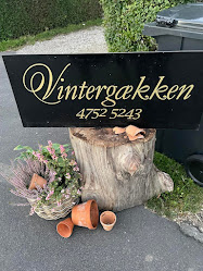 Vintergækken