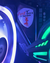 Ant Tera IT Services - Photo 1 - Car repair in Carolina, Puerto Rico, Carolina