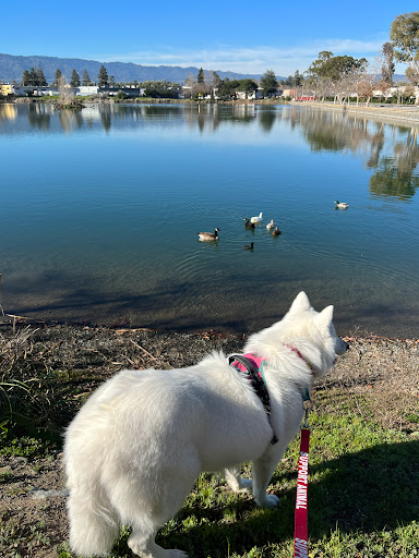 Park «Los Gatos Creek County Park», reviews and photos, 1250 Dell Ave, Campbell, CA 95008, USA