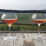 Photo n°1 de l'avis de Andrea.r fait le 06/10/2019 à 19:45 sur le  Ristorante La Gallina à Gavi