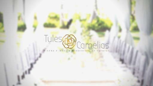 Tules y Camelias