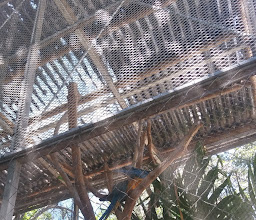 Papagayo-Zoo photo