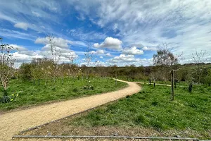 Jo Cox Community Wood image