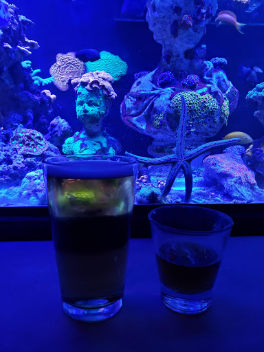 Cocktail Bar «Moloko», reviews and photos, 3967 N Mississippi Ave, Portland, OR 97227, USA