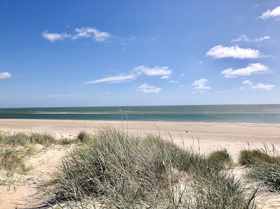 Blavandshuk Beach