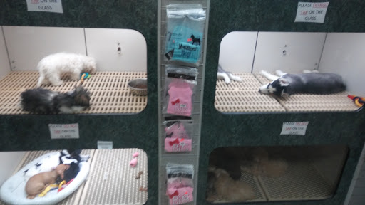 Pet Store «Pet City», reviews and photos, 14200 E Alameda Ave #2036, Aurora, CO 80012, USA