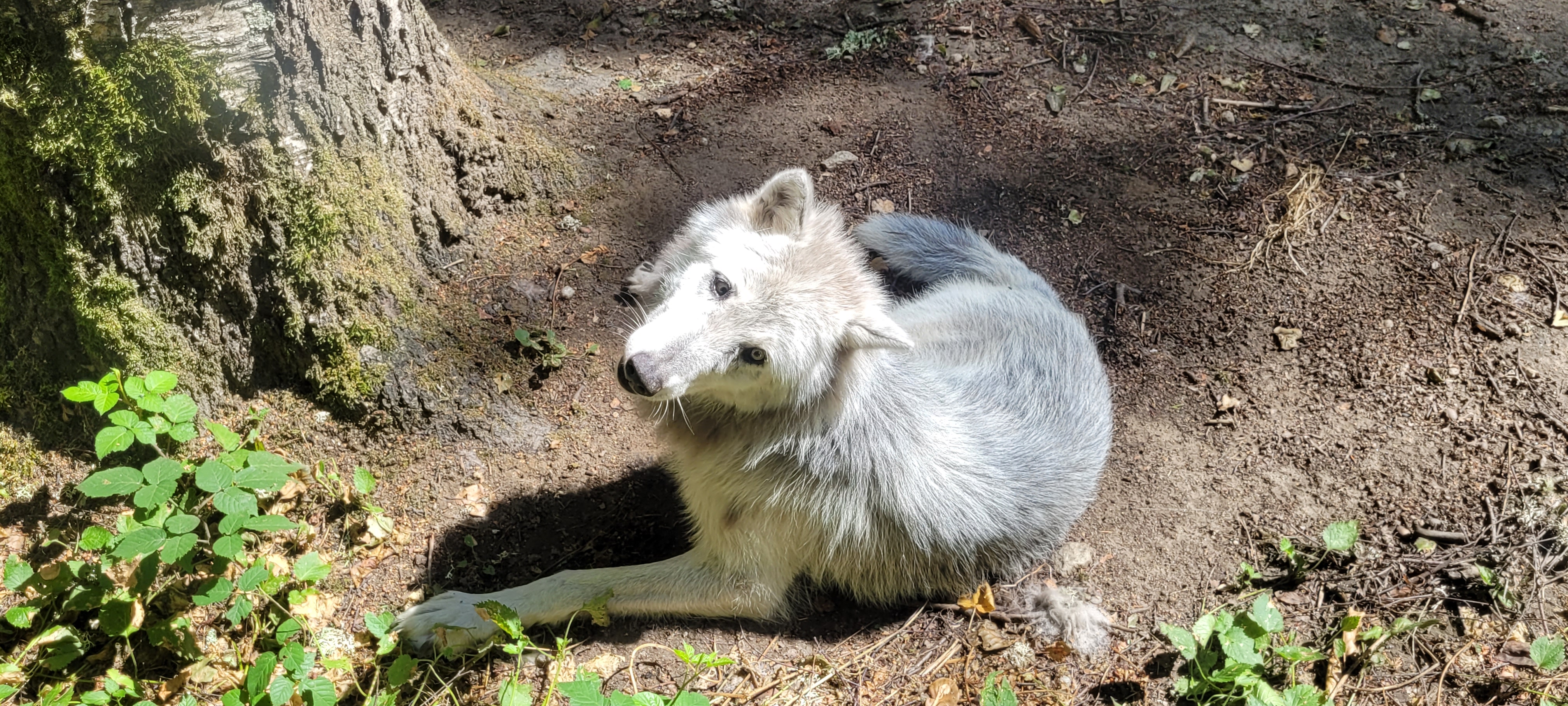 Photo n° 3 de l'avis de Pamela.a fait le 18/09/2022 à 12:17