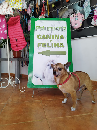 Peluquería Canina & Felina Laura B Martín