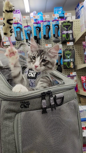 Pet Supply Store «Pet Supplies Plus», reviews and photos, 2410 Augusta Rd, West Columbia, SC 29169, USA