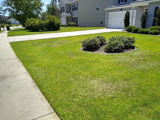 Morales lawn care tree work