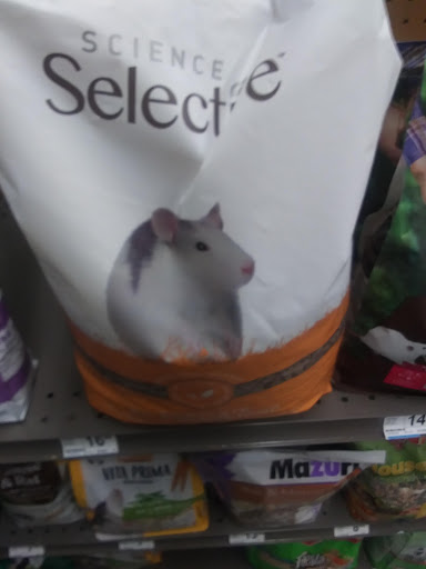 Pet Supply Store «PetSmart», reviews and photos, 2920 Little Rd, Trinity, FL 34655, USA