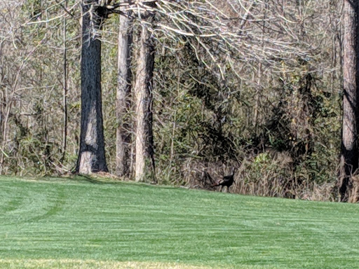 Golf Course «Witch Golf Links», reviews and photos, 1900 SC-544, Conway, SC 29526, USA