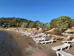 Pollen Tatil Köyü'in fotoğrafı otel alanı