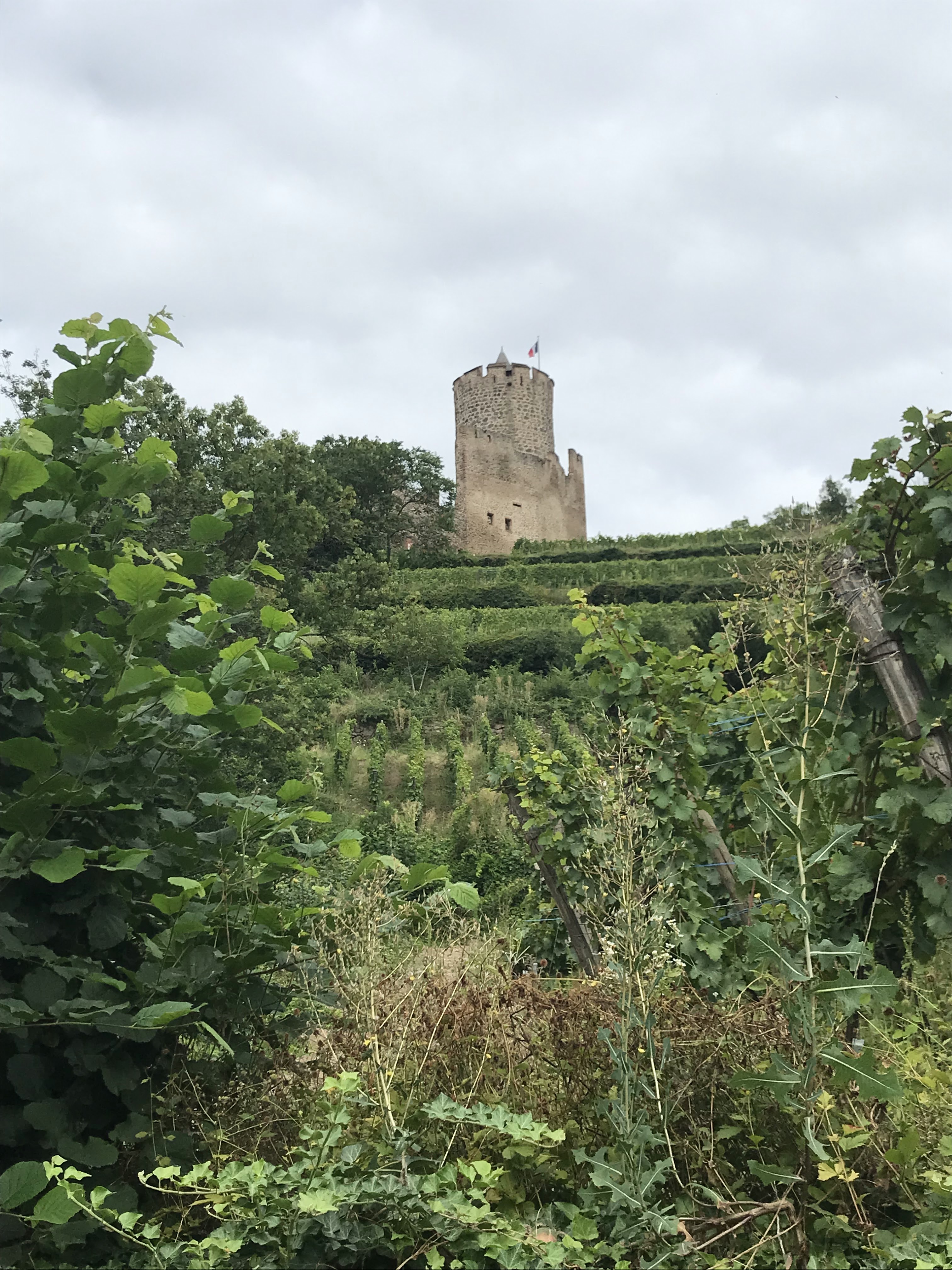 Photo n° 13 de l'avis de B2n. fait le 20/08/2021 à 13:42
