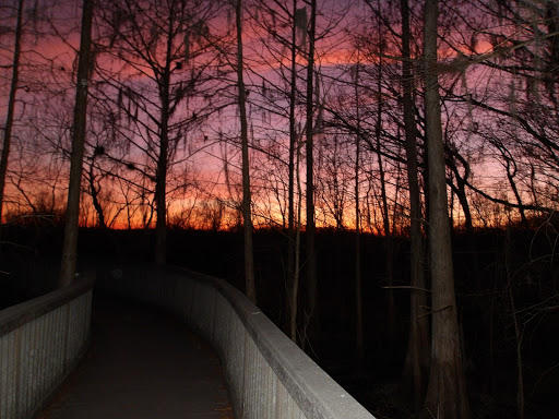 Tourist Attraction «Black Bear Wilderness Trailhead», reviews and photos, 5298 Michigan Ave, Sanford, FL 32771, USA