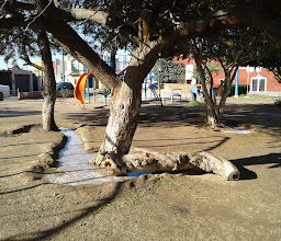 Paseos De Xochimilco Park photo